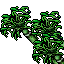 bamboo plant