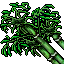 bamboo plant