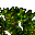 giant tree