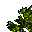 giant tree