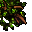giant tree