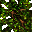 giant tree