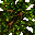 giant tree