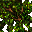 giant tree
