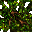 giant tree