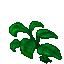 chill nettle