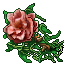giant jungle rose