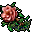 jungle rose