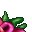 titans orchid