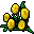 gold blossom