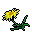 meadow star