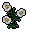 dew kisser flower