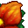 velvet petal