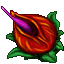 devil's tongue plant