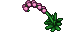 small pearl flower