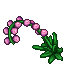 large pearl flower
