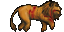 dead lion
