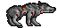 dead wolf