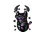 dead ancient scarab