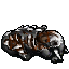 dead elephant