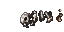 dead tiger
