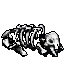 dead elephant