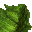 grass