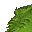 grass