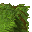 grass