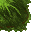 grass