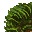 grass
