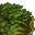 grass