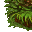 grass