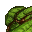 grass