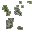 mossy spots
