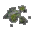 mossy spots