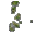 mossy spots