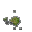 mossy spots
