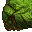 grass