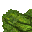 grass