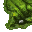 grass