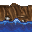 shallow water