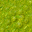 swamp
