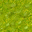 swamp