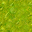 swamp