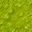 swamp