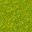 swamp