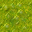 swamp