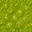 swamp