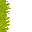 swamp